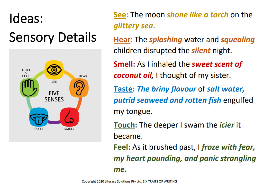 Sensory Details Chart